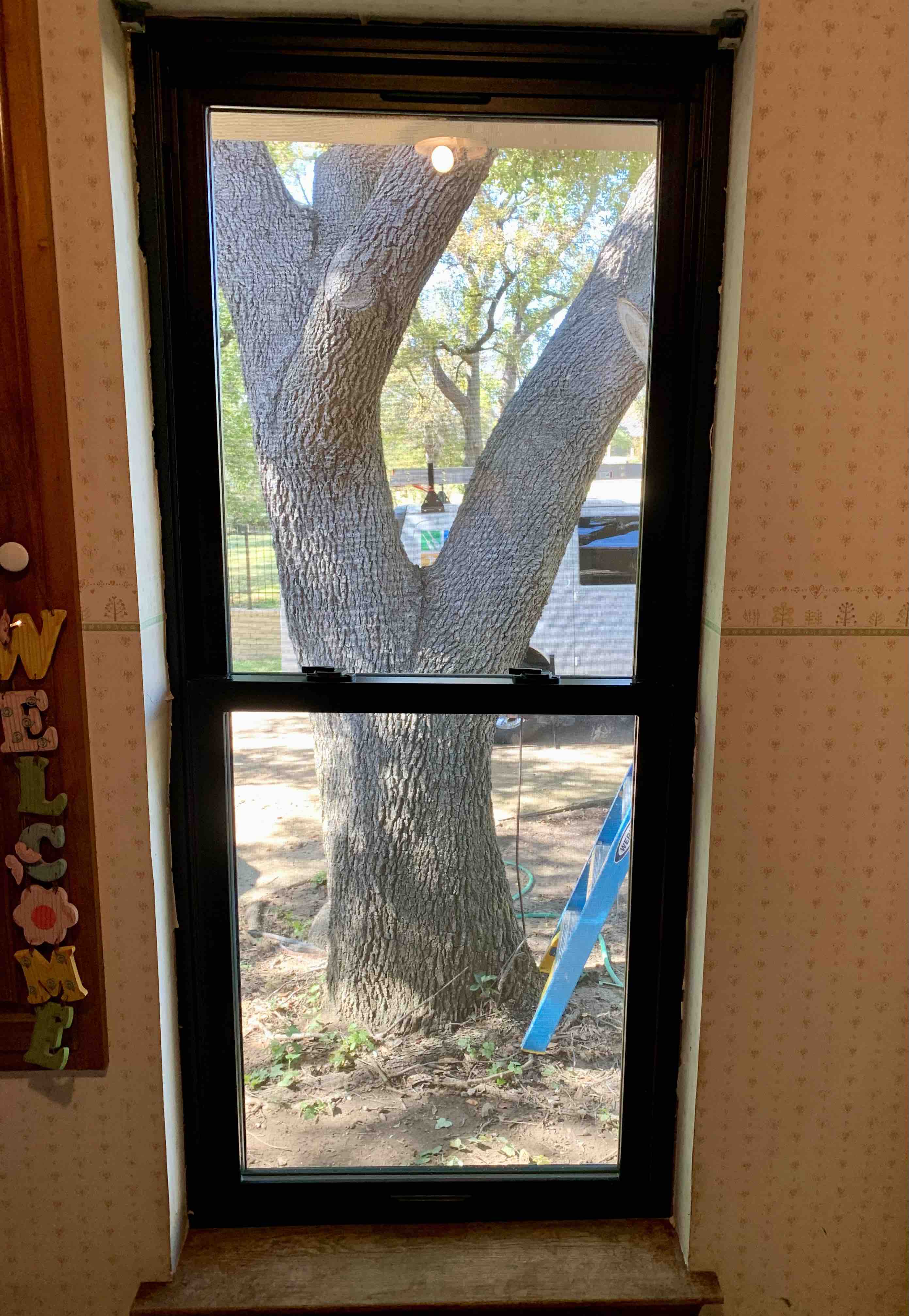 Replacement Windows
